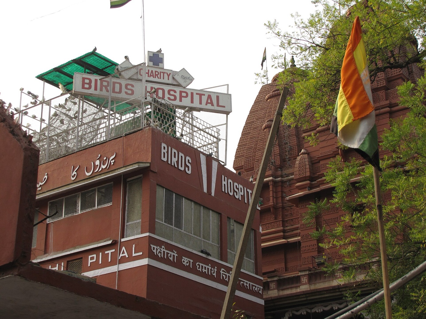 Charity Birds Hospital, Delhi